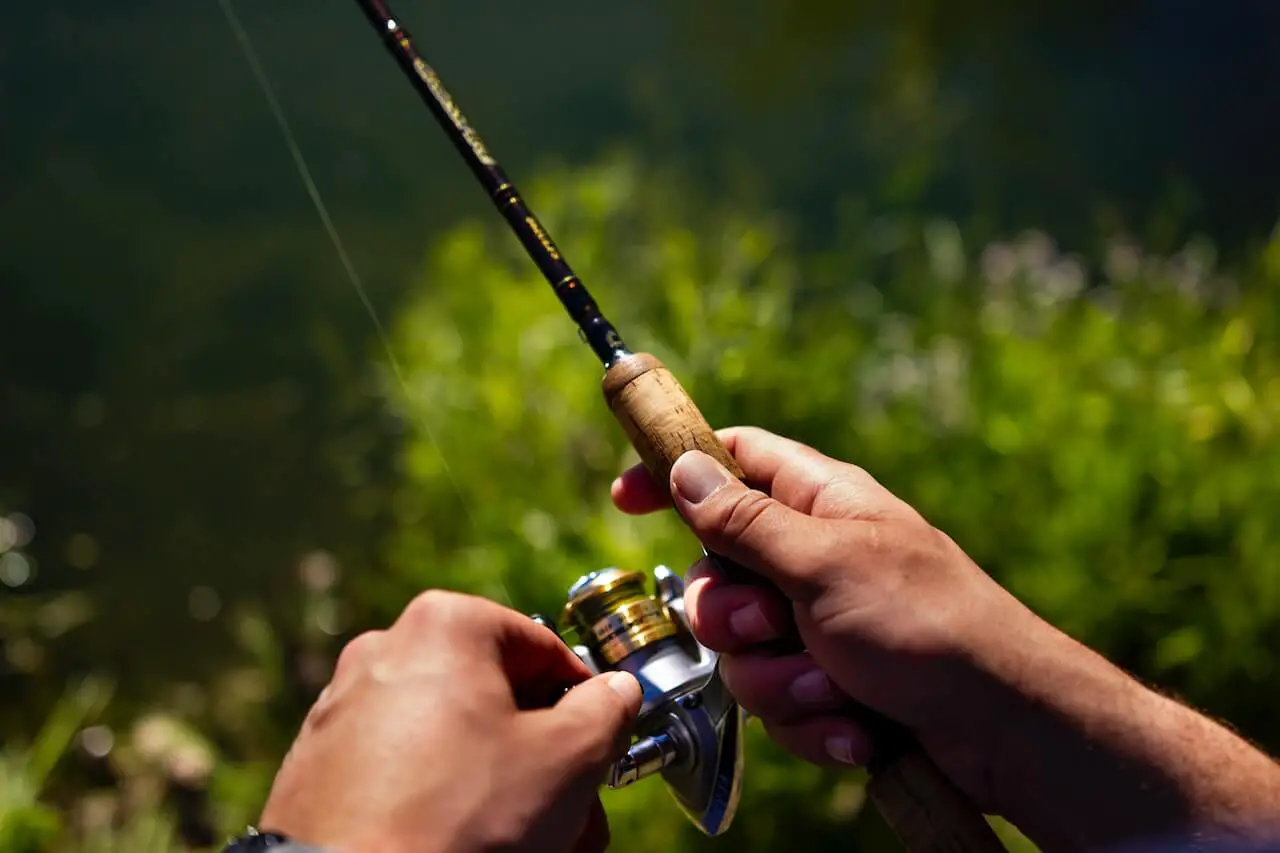 A beginner fishing pole is great to make your first casts within minutes