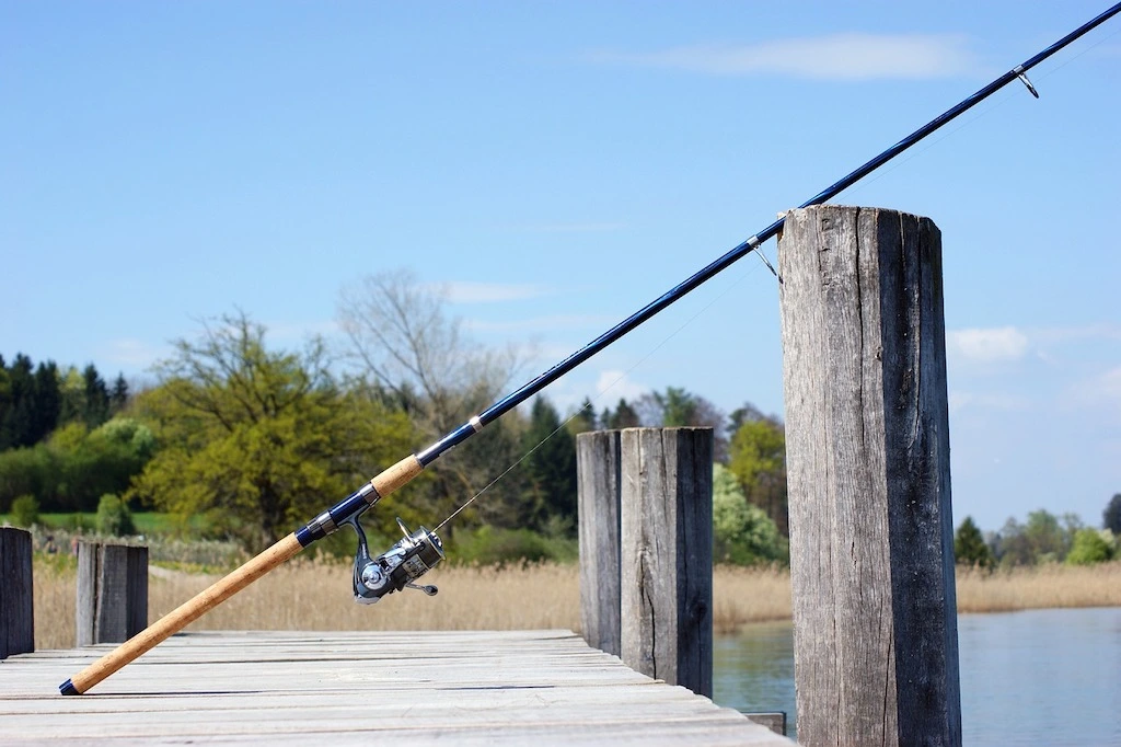 Fishing Rod at Shore of a Lake