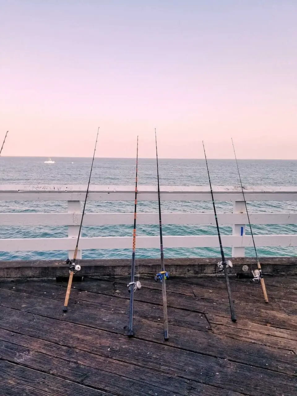 Saltwater fishing rods on a pier 