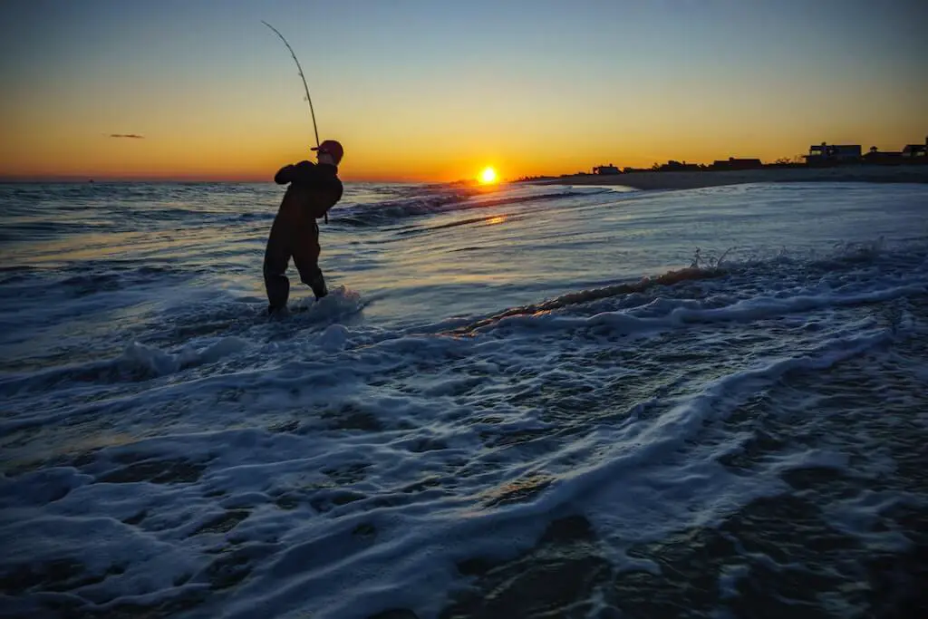 Surf fishing is a great and inexpensive way to get into saltwater fishing