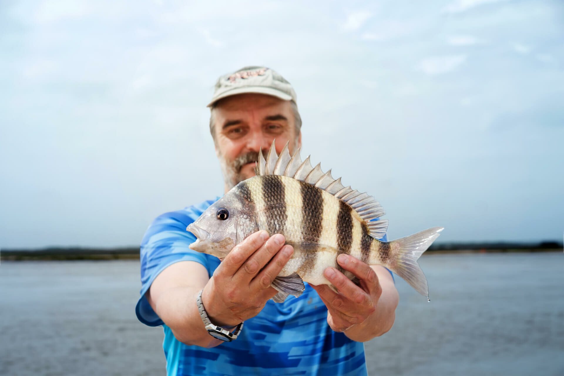 Are Sheepshead Fish Good to Eat? Absolutely!