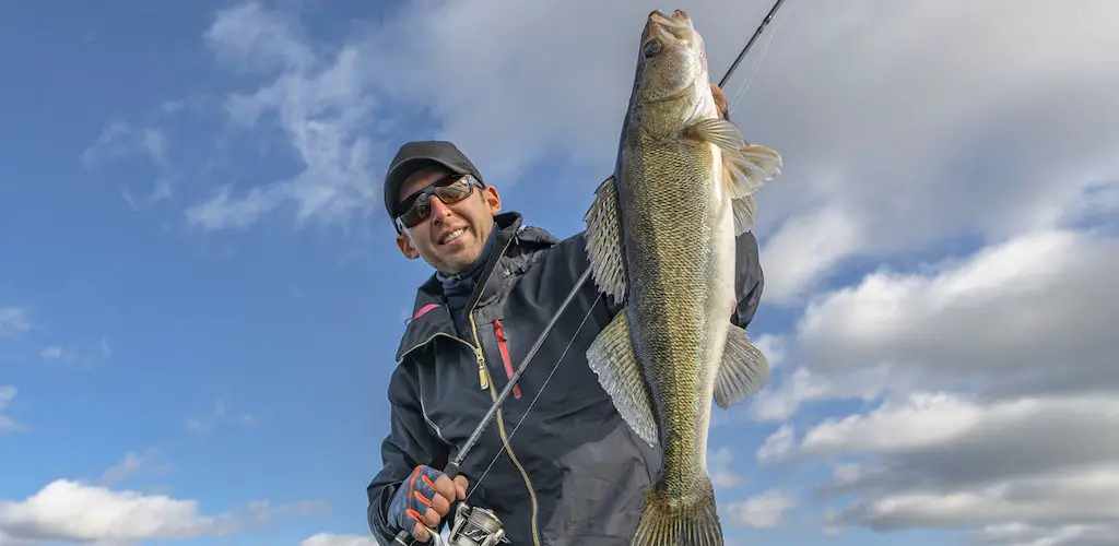 Best Walleye Fishing Lures Review