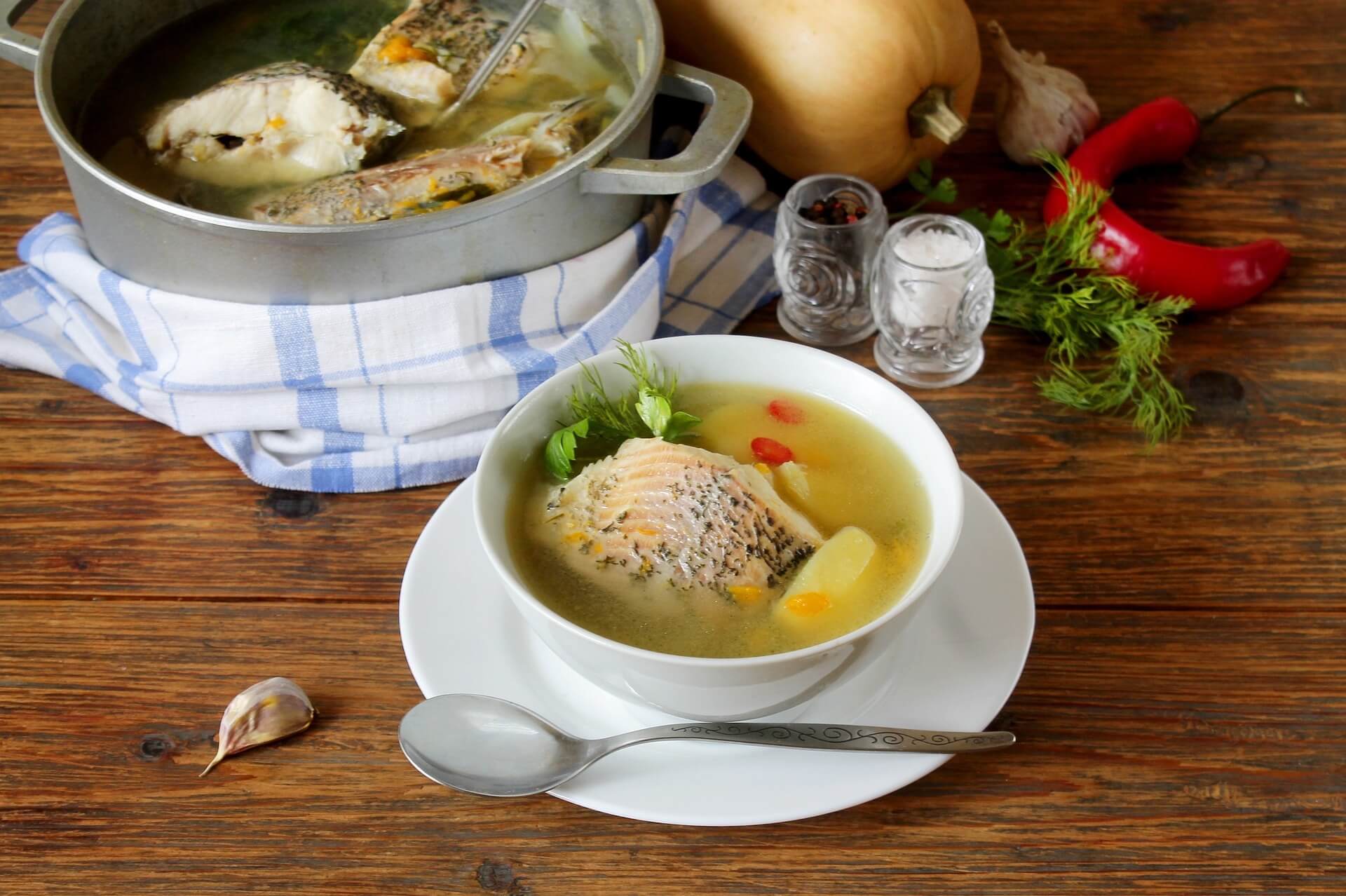 Can You Eat Pike - Fish Soup