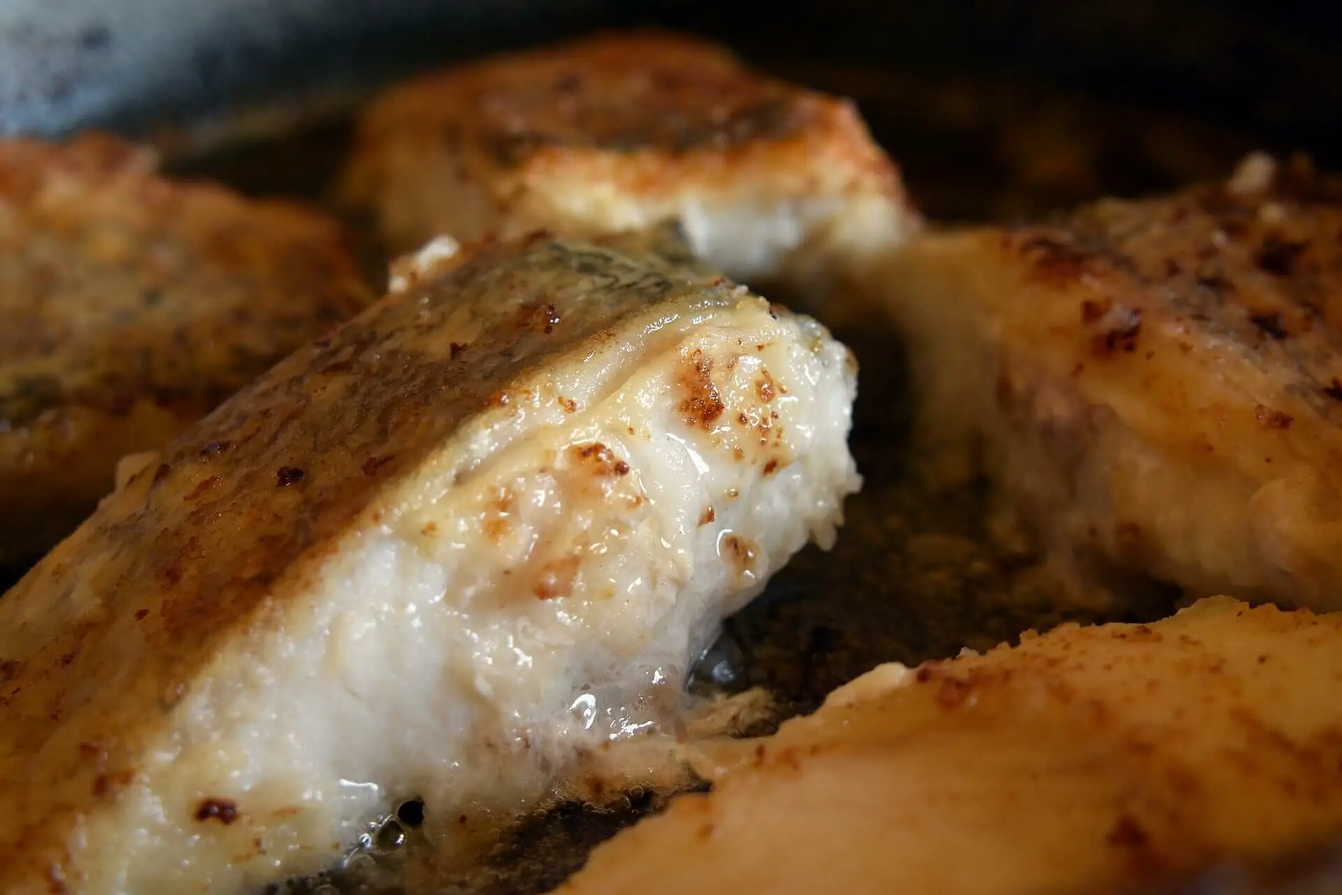 Are muskie good to eat? Pan fried Musky fillet