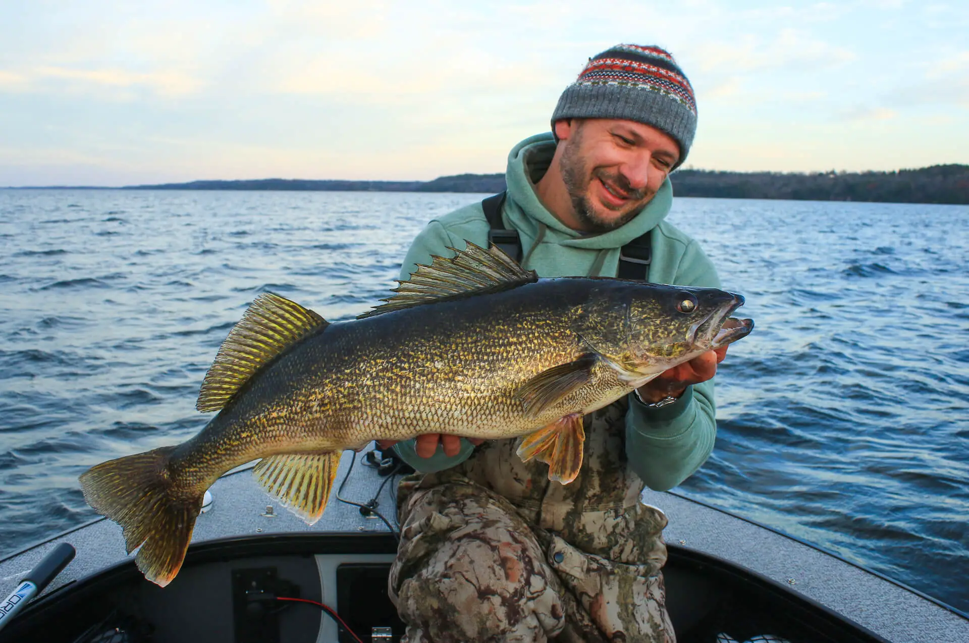 Best walleye rod review: A big walleye caught while jigging