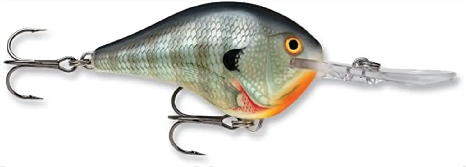 Best Crankbaits for Bass: Rapala Fishing Lure