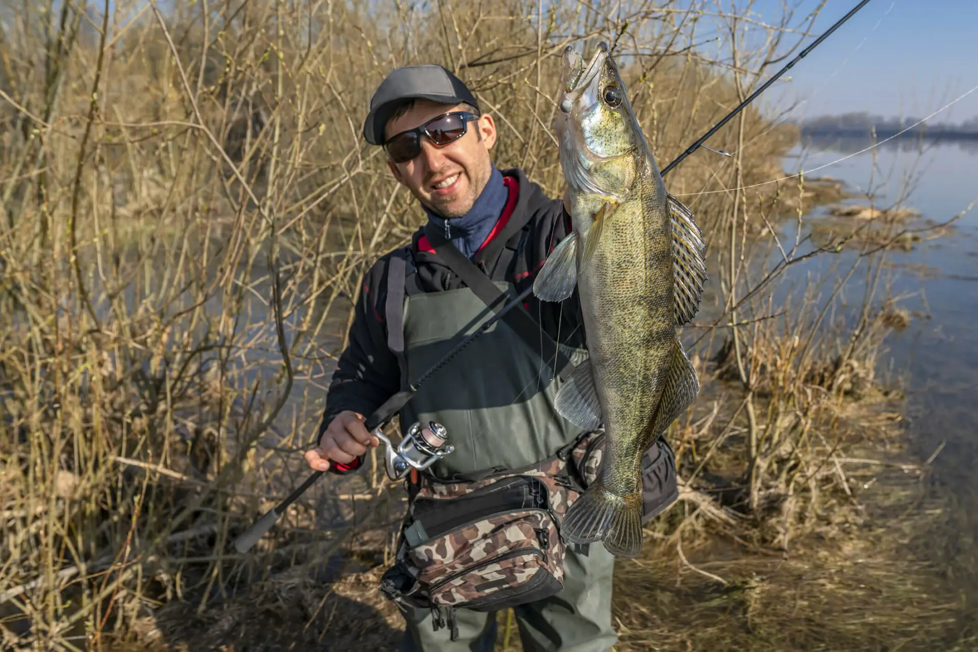 Best Walleye Rods of 2023: Fisherman with walleye in hand