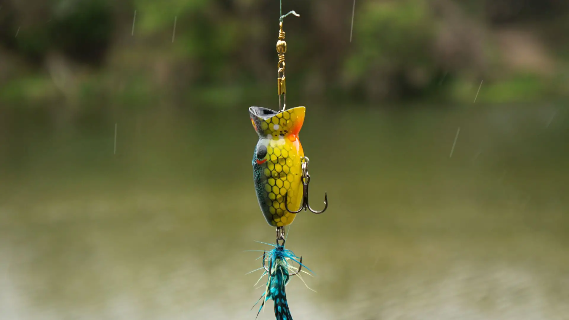 A colorful fishing lure
