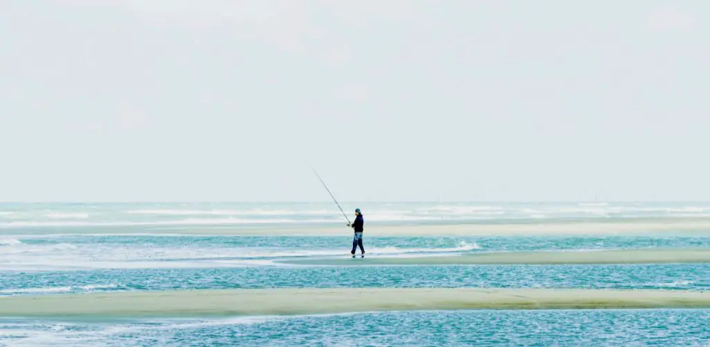 Surf Fishing on Low Tide