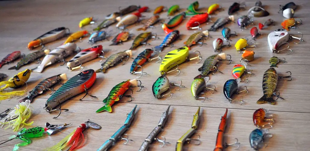 Best Perch Lures for Every Season